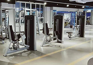 Commercial and Corporate Gyms