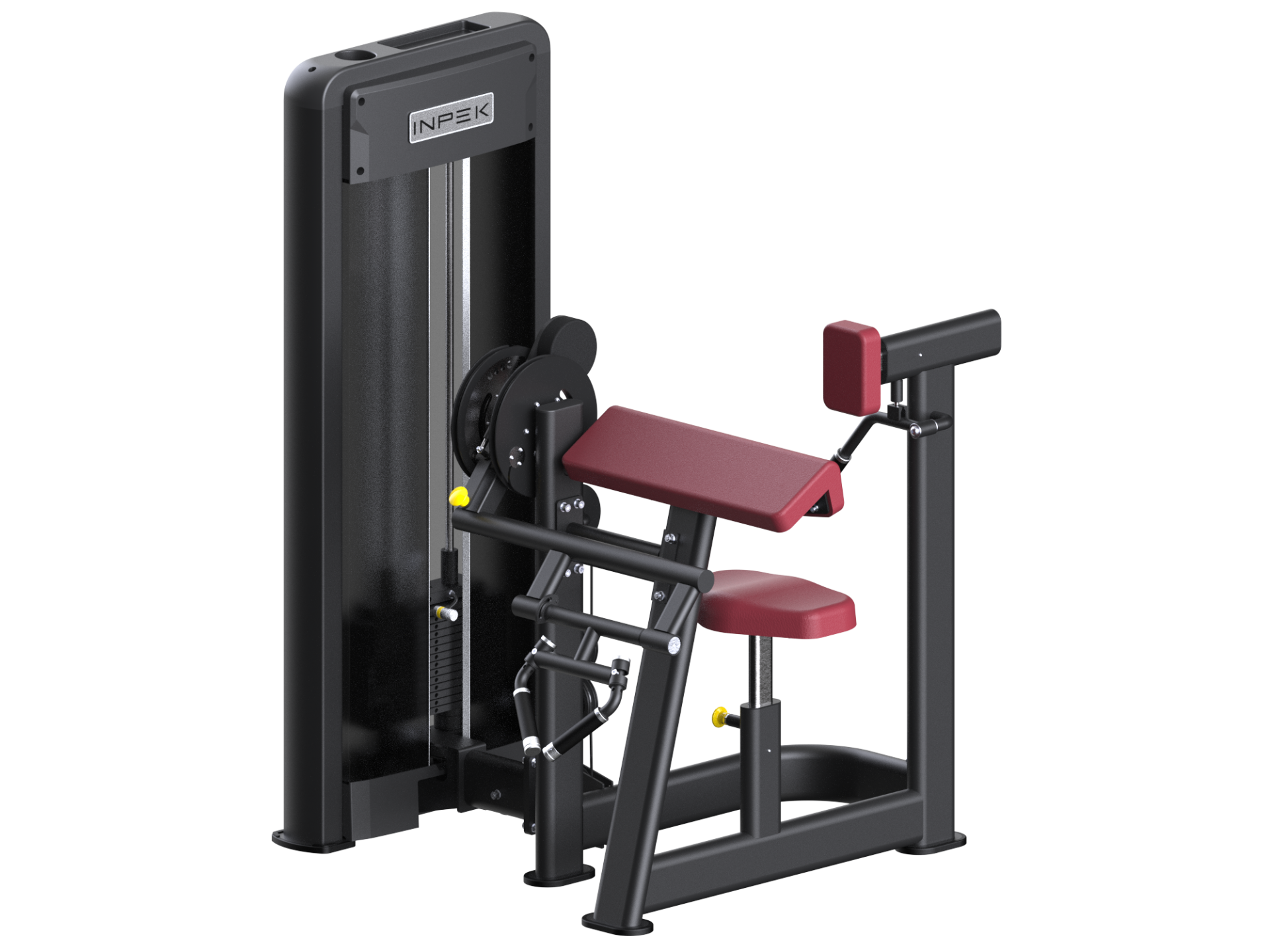 Biceps/Triceps - K5704 specially designed