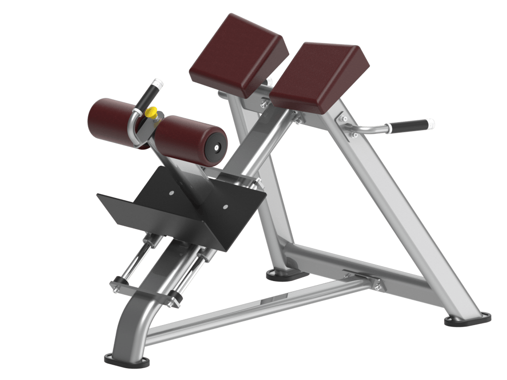 Free Weights Bench More