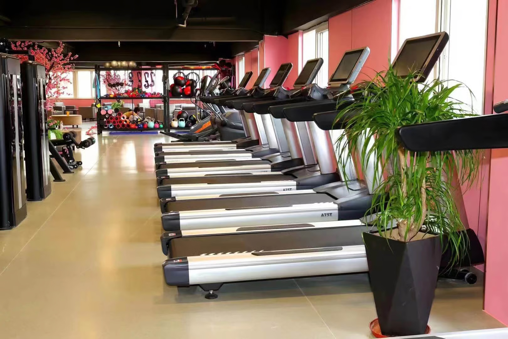 Partial view of a commercial gym interior showing fitness equipment