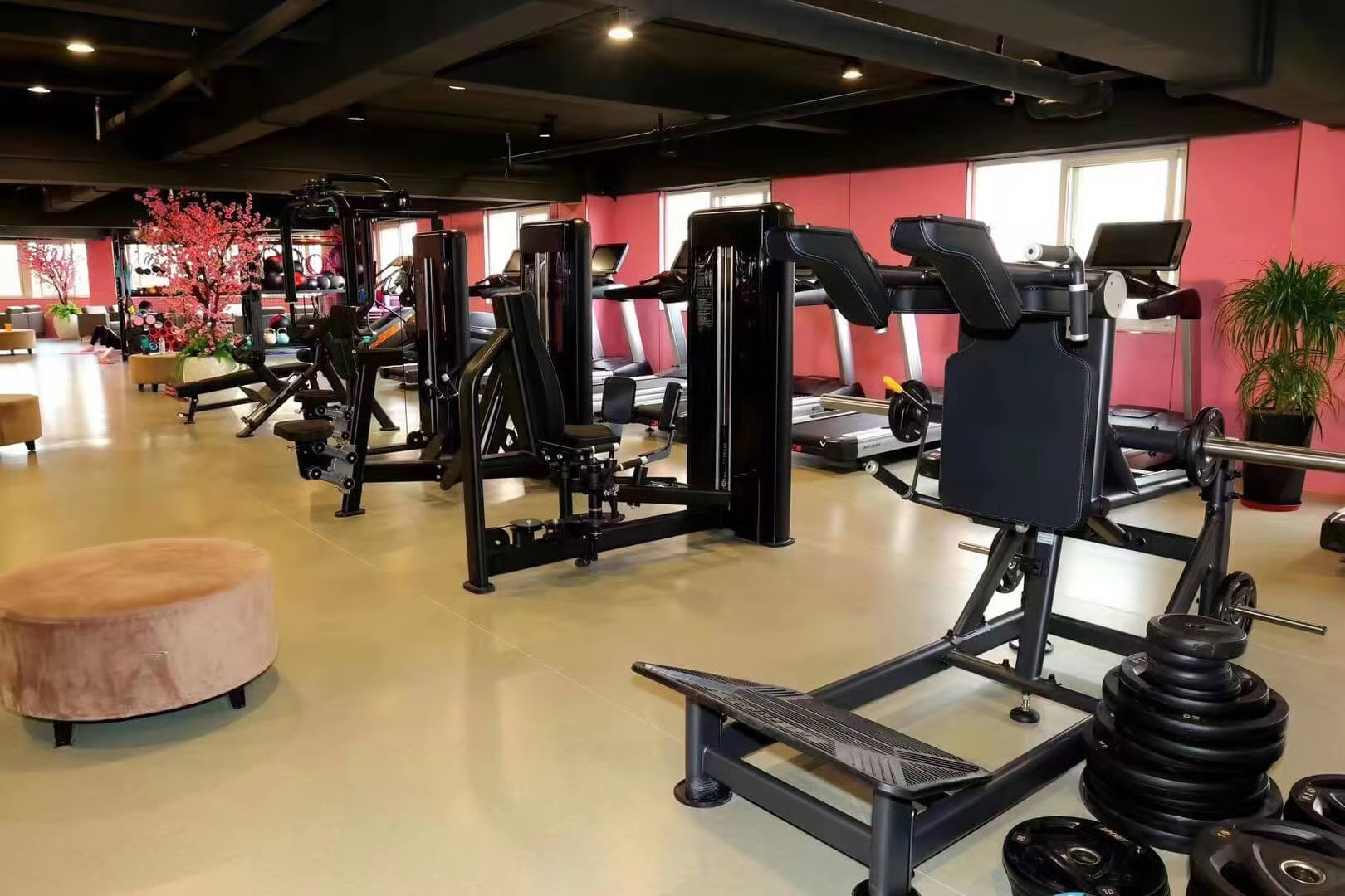 Partial view of a commercial gym interior with treadmills and pink walls