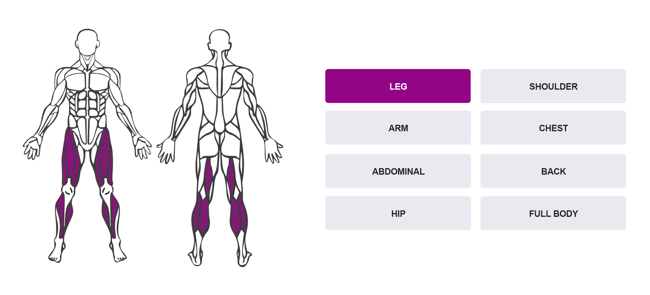 Choose By Muscle Groups - Full Body Anatomy Map