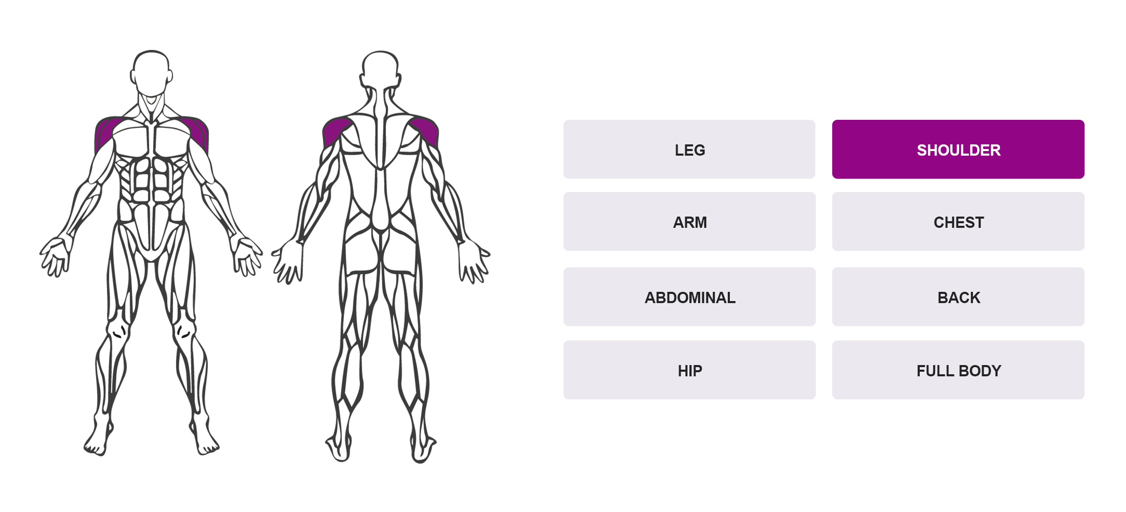 Choose By Muscle Groups - Full Body Anatomy Map