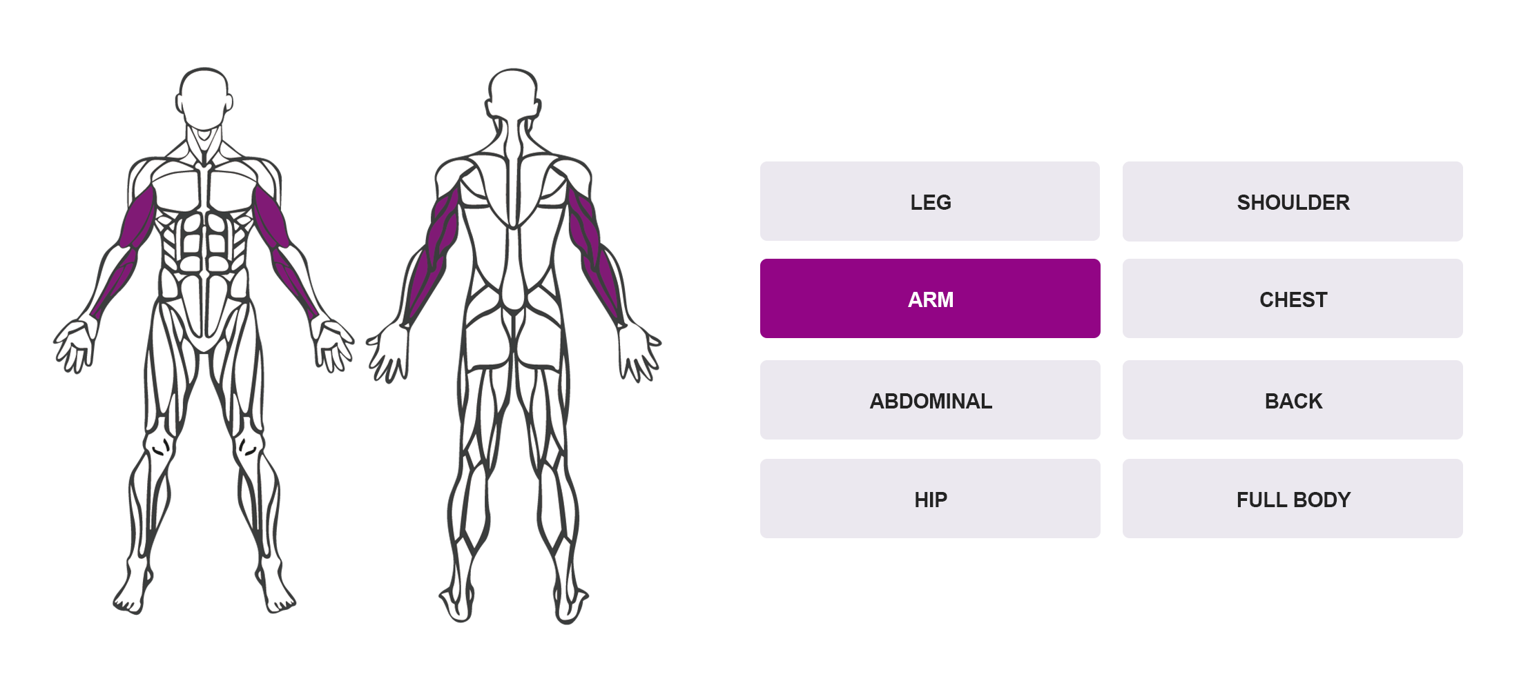 Choose By Muscle Groups - Full Body Anatomy Map