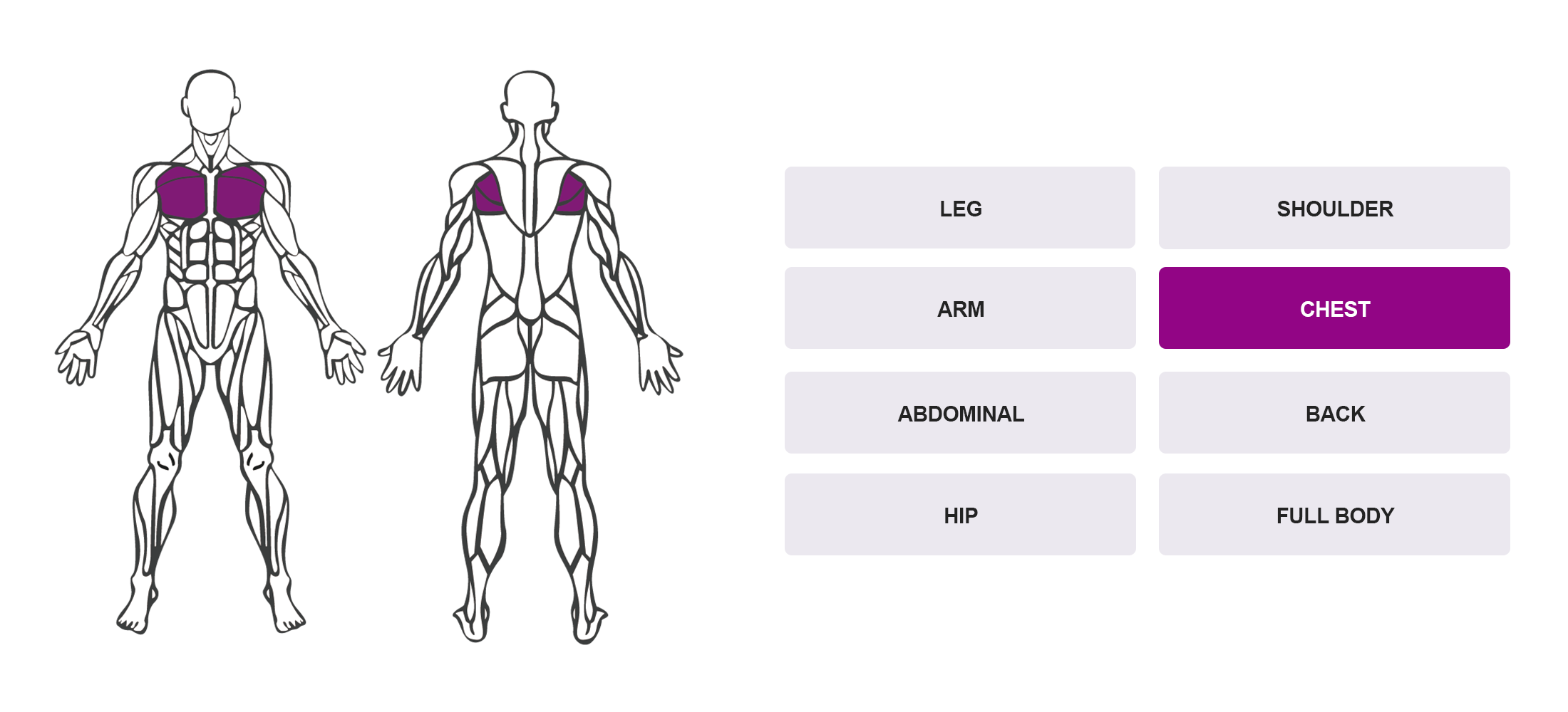 Choose By Muscle Groups - Full Body Anatomy Map