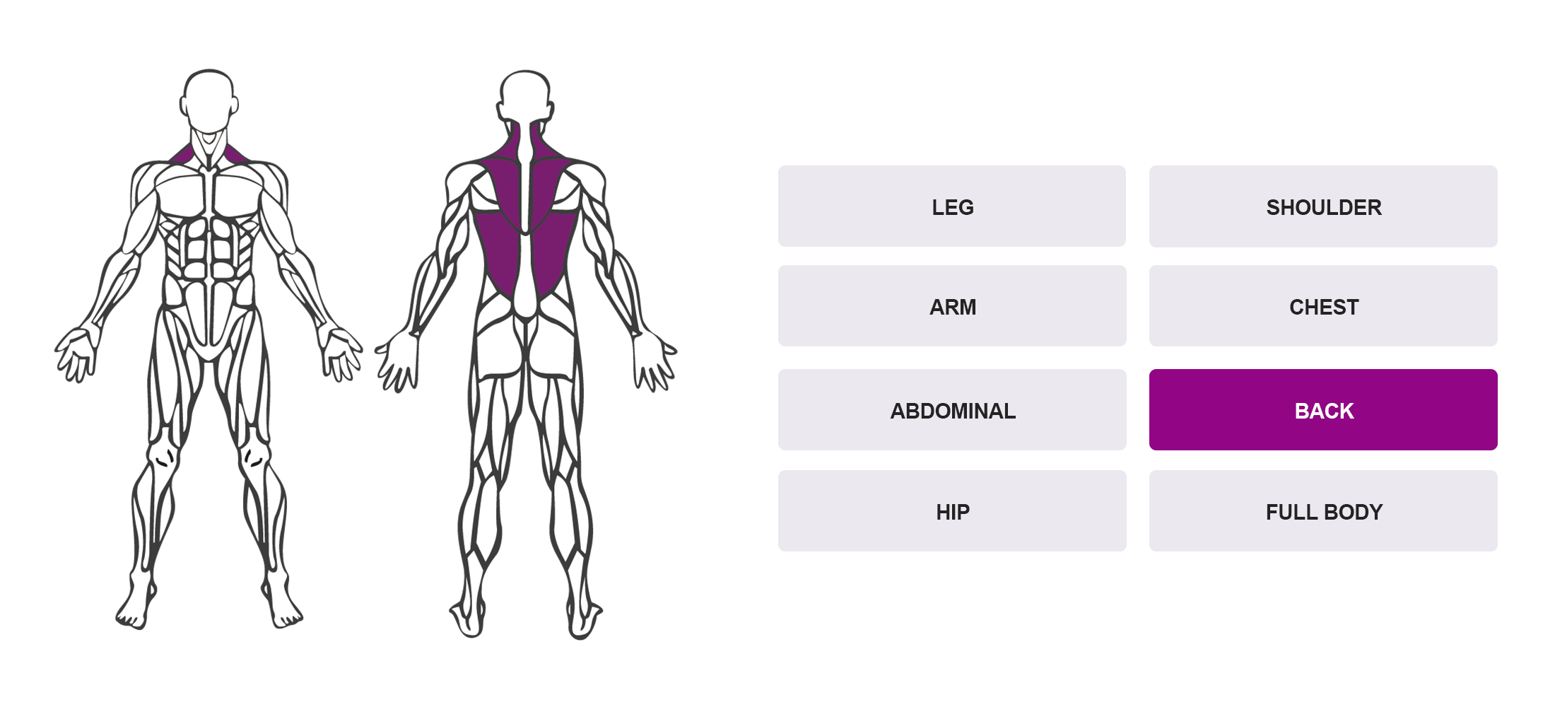 Choose By Muscle Groups - Full Body Anatomy Map