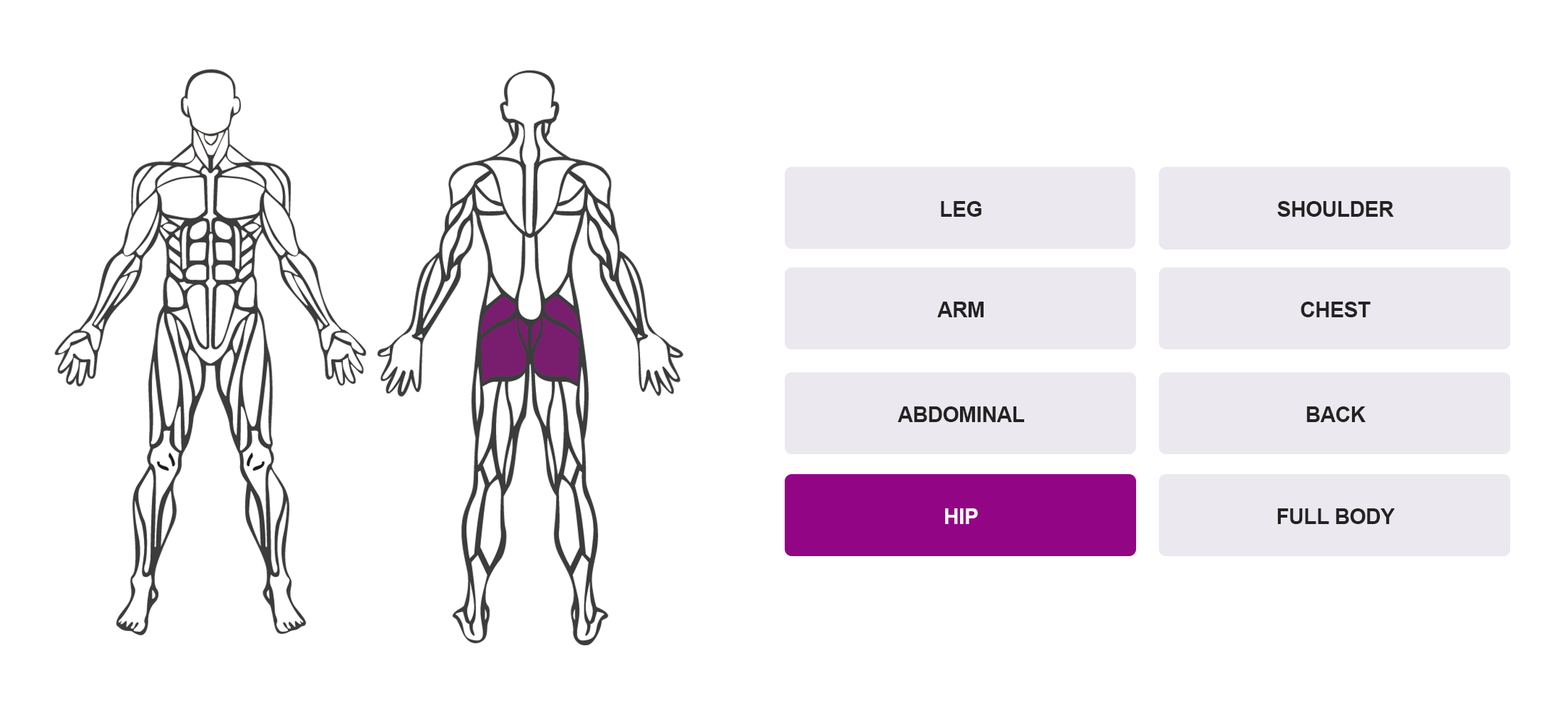 Choose By Muscle Groups - Full Body Anatomy Map
