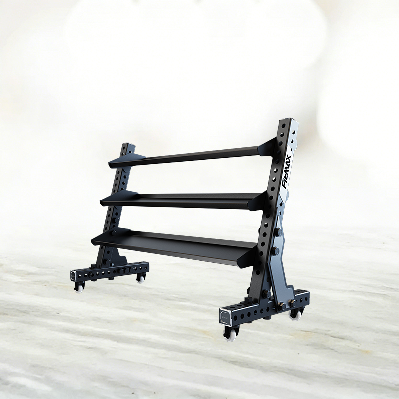 Dumbbell Racks (P90)