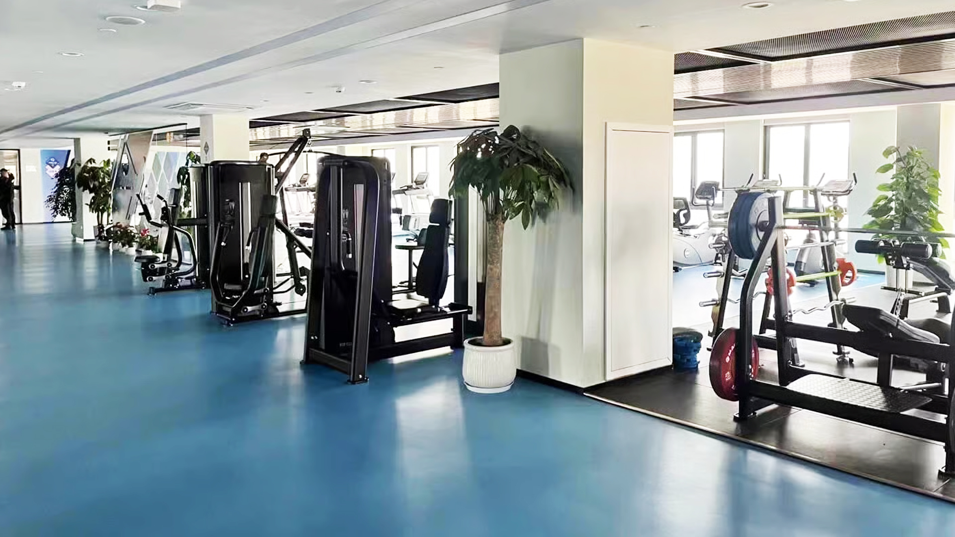 Modern gym interior showing INPEK strength equipment
