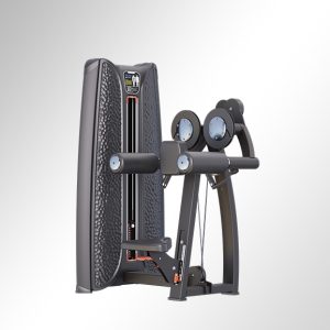 K37A03 Seated Lateral Raise