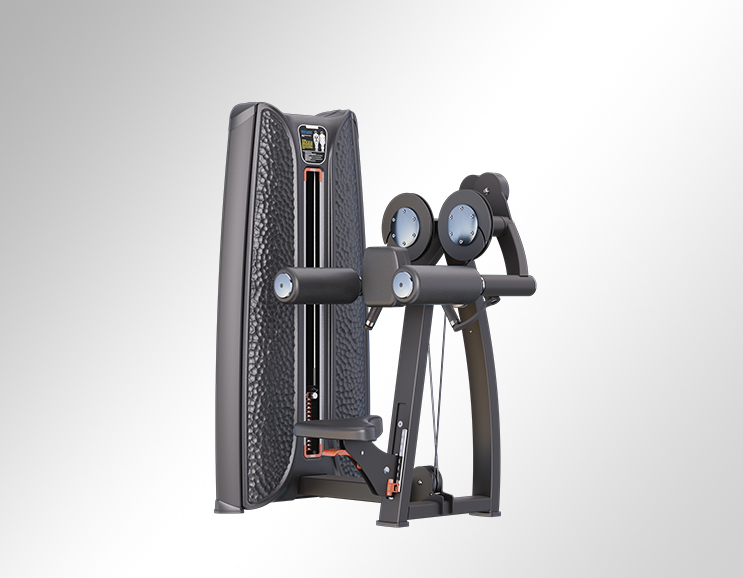 K37A03 Seated Lateral Raise