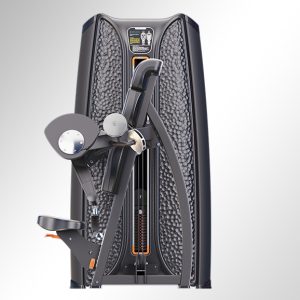 Alternative view of K37A10 Biceps Curl