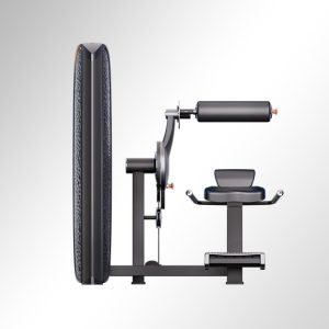 Alternative view of K37A17 Back Extension