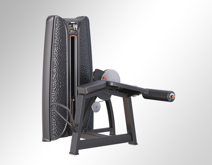 K37A26 Prone Leg Curl