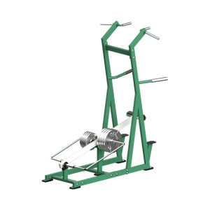 Alternative view of K3813 Assisted Chin Dip Machine