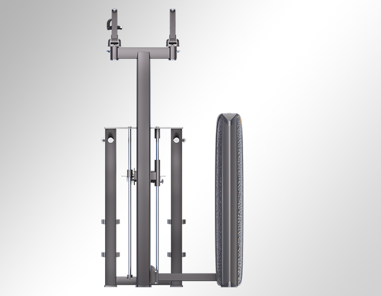 K37A16 Assisted Dip/Chinning