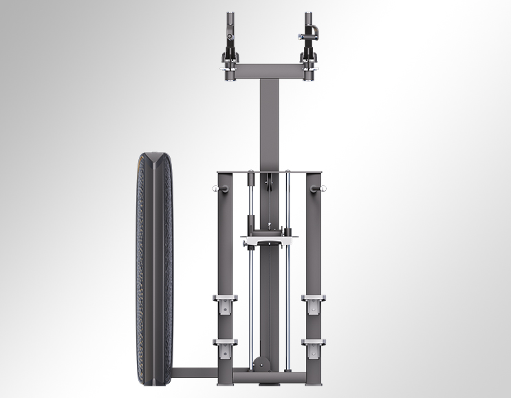 K37A16 Assisted Dip/Chinning