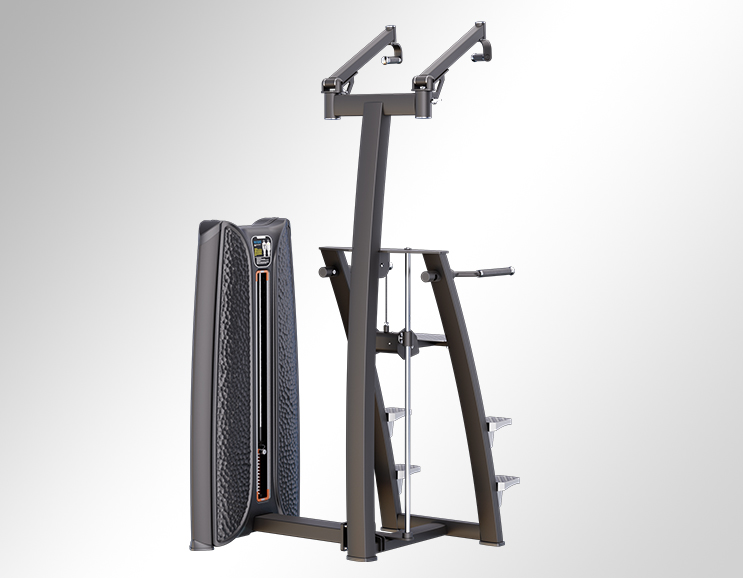 K37A16 Assisted Dip/Chinning