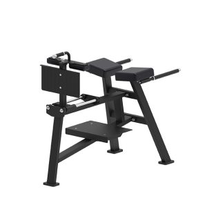 Alternative view of K1833 Back Extension