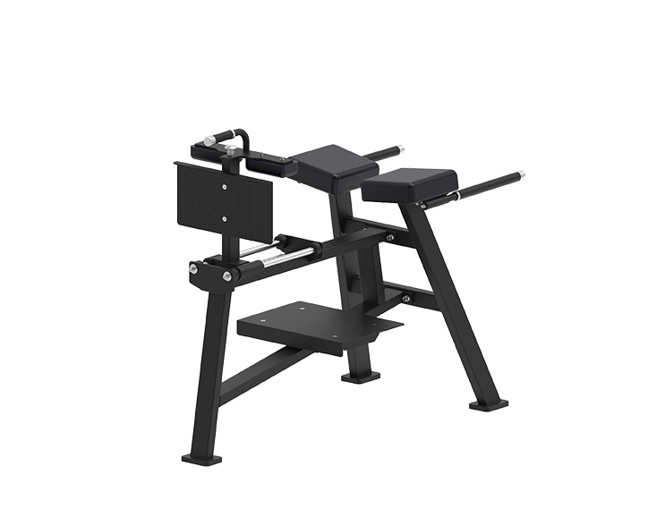 K1833 Back Extension