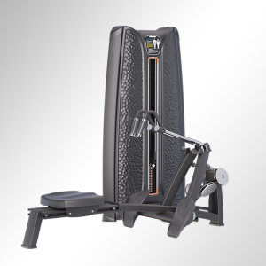 Alternative view of K37A13 Pulley Low Row