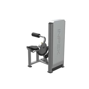 Alternative view of K1717 Back Extension