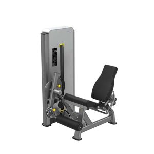 K1724 Leg Extension