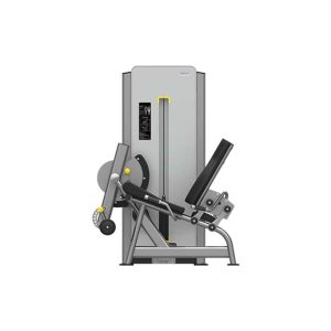 K1724 Leg Extension