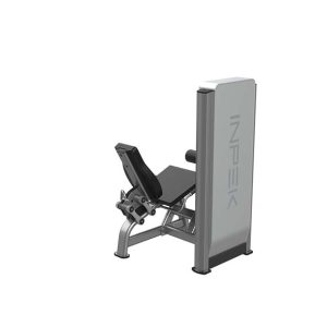 Alternative view of K1725 Seated Leg Curl