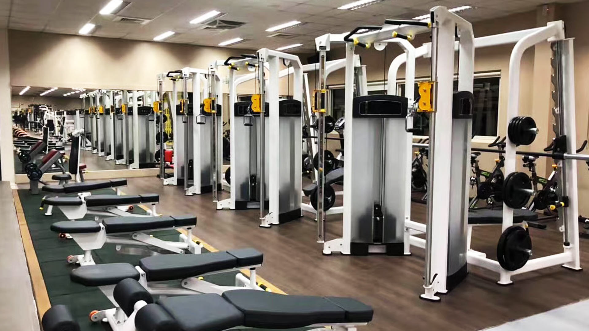 PowerHouse Training Club