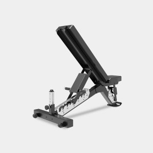 Adjustable Dumbbell Bench