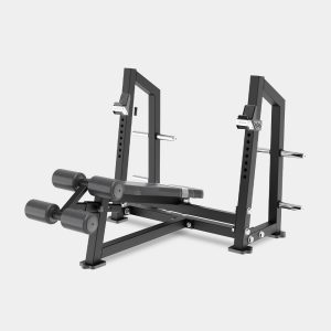 Alternative view of Olympic Decline Bench