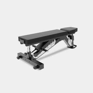 Adjustable Dumbbell Bench