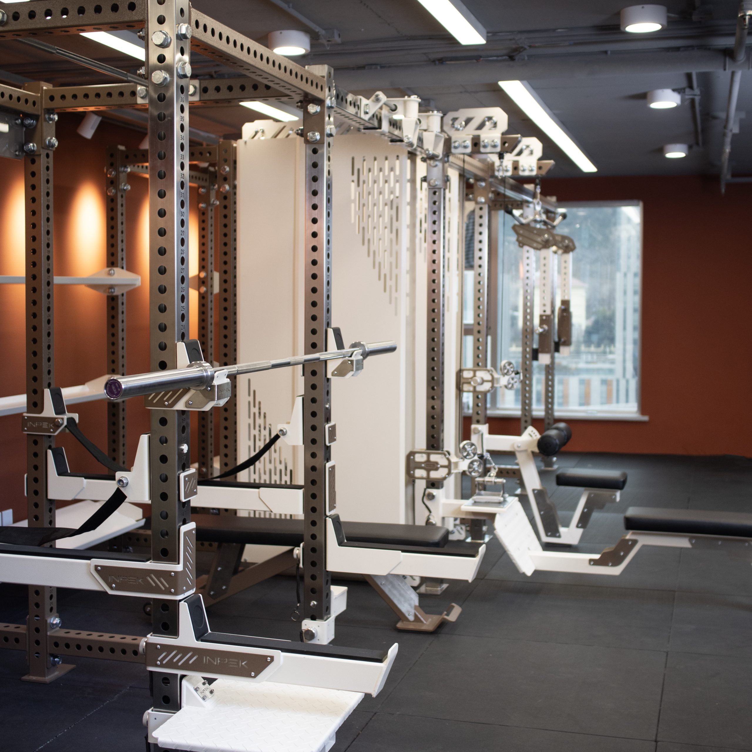 Functional Trainer 3 in 1