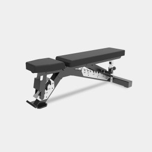 Adjustable Dumbbell Bench
