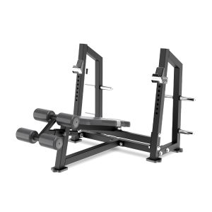 Alternative view of Olympic Decline Bench