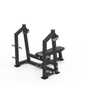 Alternative view of Olympic Flat Bench